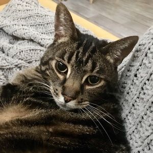 Meet your Posher, Marcia